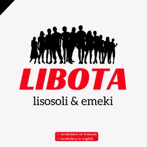 Libota : Lisosoli & Emeki [Lingala Kulture]